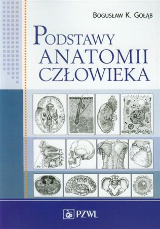 Podstawy anatomii człowieka  Gołąb Bogusław K.
