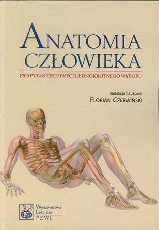 Anatomia człowieka  Czerwiński Florian, Kozik Wojciech, Ziętek Zbigniew