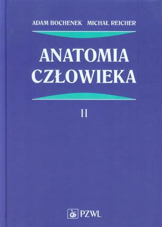 Anatomia człowieka Tom 2  - Bochenek Bochenka Twarda Oprawa
