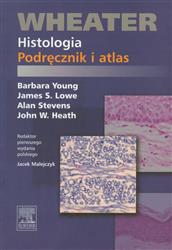 Wheater Histologia Podręcznik i atlas  Young Barbara, Lowe James S., Stevens Alan, Heath John W.-77995