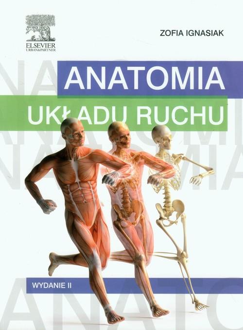 Anatomia układu ruchu  Ignasiak Zofia-78125