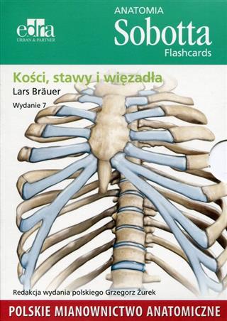 Anatomia Sobotta Flashcards pol. - Kości stawy i więzadła