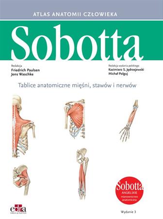 Tablice Sobotta anatomiczne mięśni, stawów i nerwów. Angielskie mianownictwo Jędrzejewski