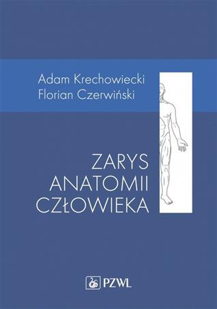 Zarys anatomii człowieka  Krechowiecki Krechowieckiego Czerwiński