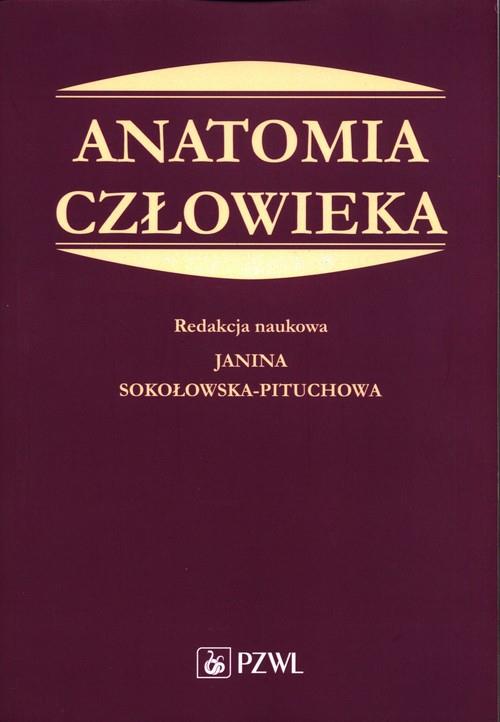 Anatomia człowieka Podręcznik dla studentów medycyny-303366