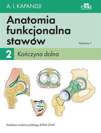 Anatomia funkcjonalna stawów Tom 2 Kończyna dolna Kapandji I.A.