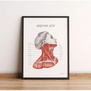 Plakat Anatomiczny Mięśnie Szyi, Plakat Anatomia Marta Pawelec