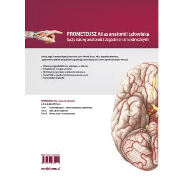 Prometeusz Atlas Anatomii Człowieka Tom 3 - Nomenklatura Angielska